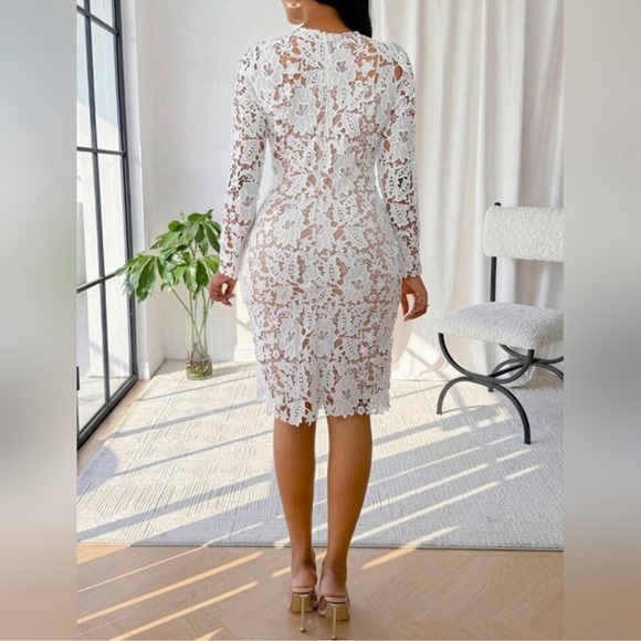 New Chic Embroidered Lace Overlay Bodycon Knee Length Dress White Tan - Picture 5 of 8